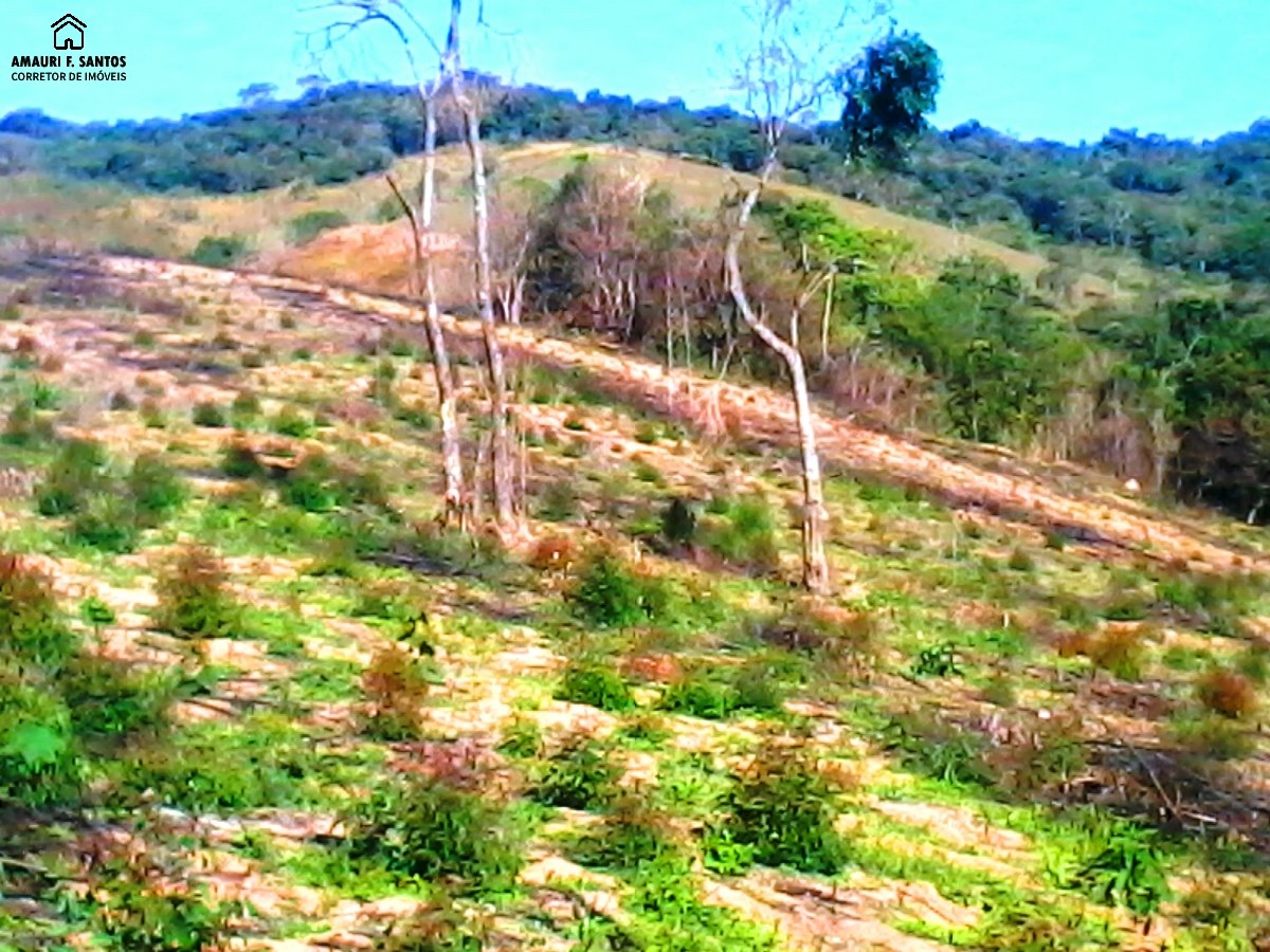 Sítio em , São Roque - Foto 8